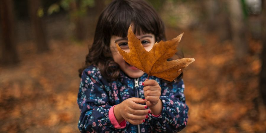 Profitez des vacances d'automne à Haguenau !
