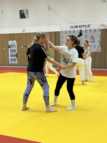 08bc1e0f-e9a4-48f3-9ae1-c785dd6e15ad (Petit)