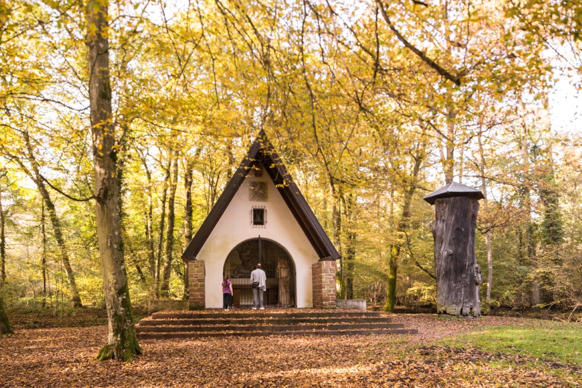 Site du gros chene, la forêt Sainte de Haguenau