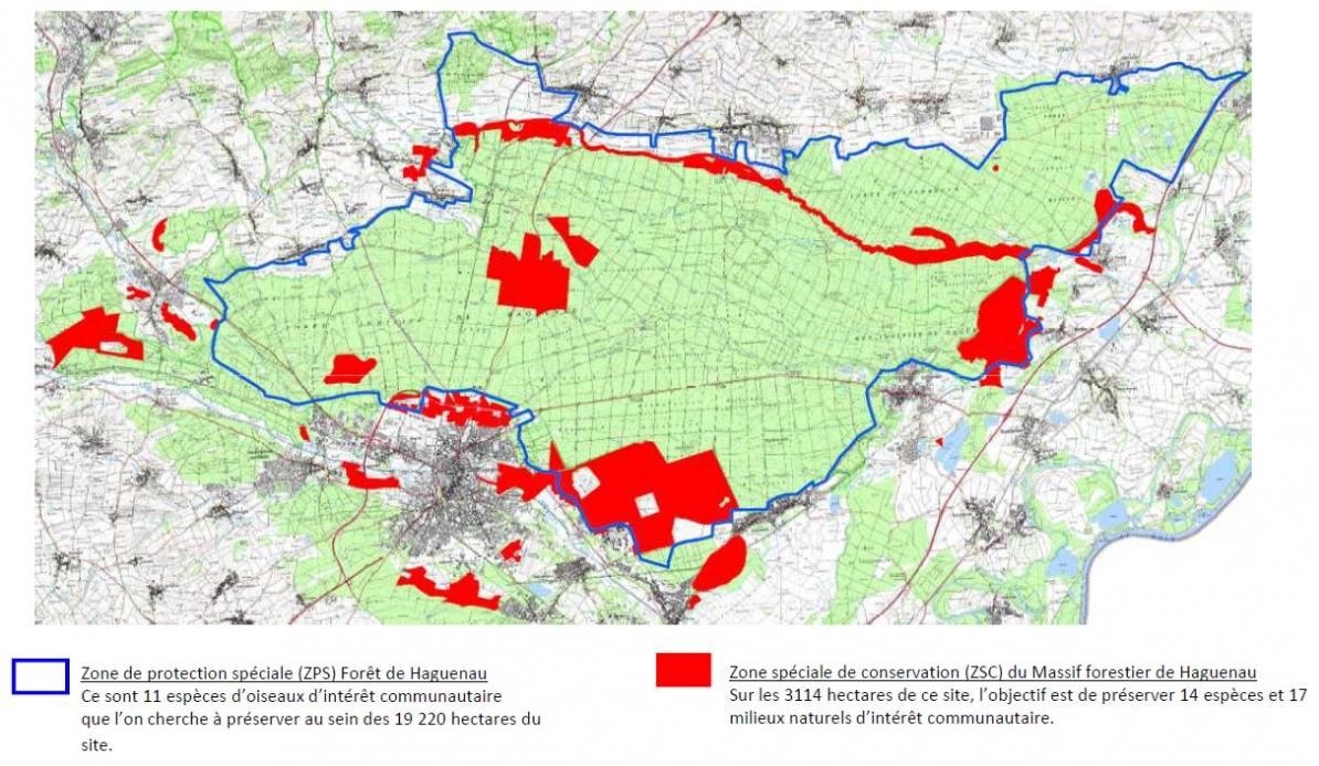 Natura 2000 - Carte des zones en forêt de Haguenau