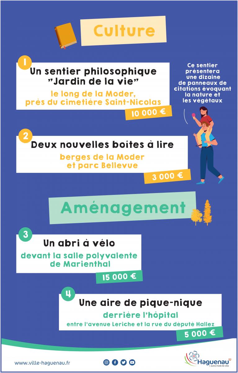 Les projets culturels
