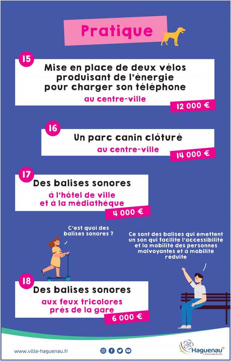Les projets pratiques